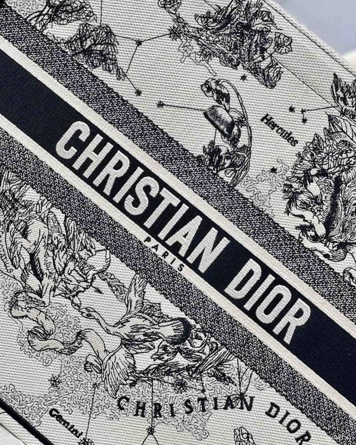75604 GoAnywhere Dior Christian Bags Shopping 0719